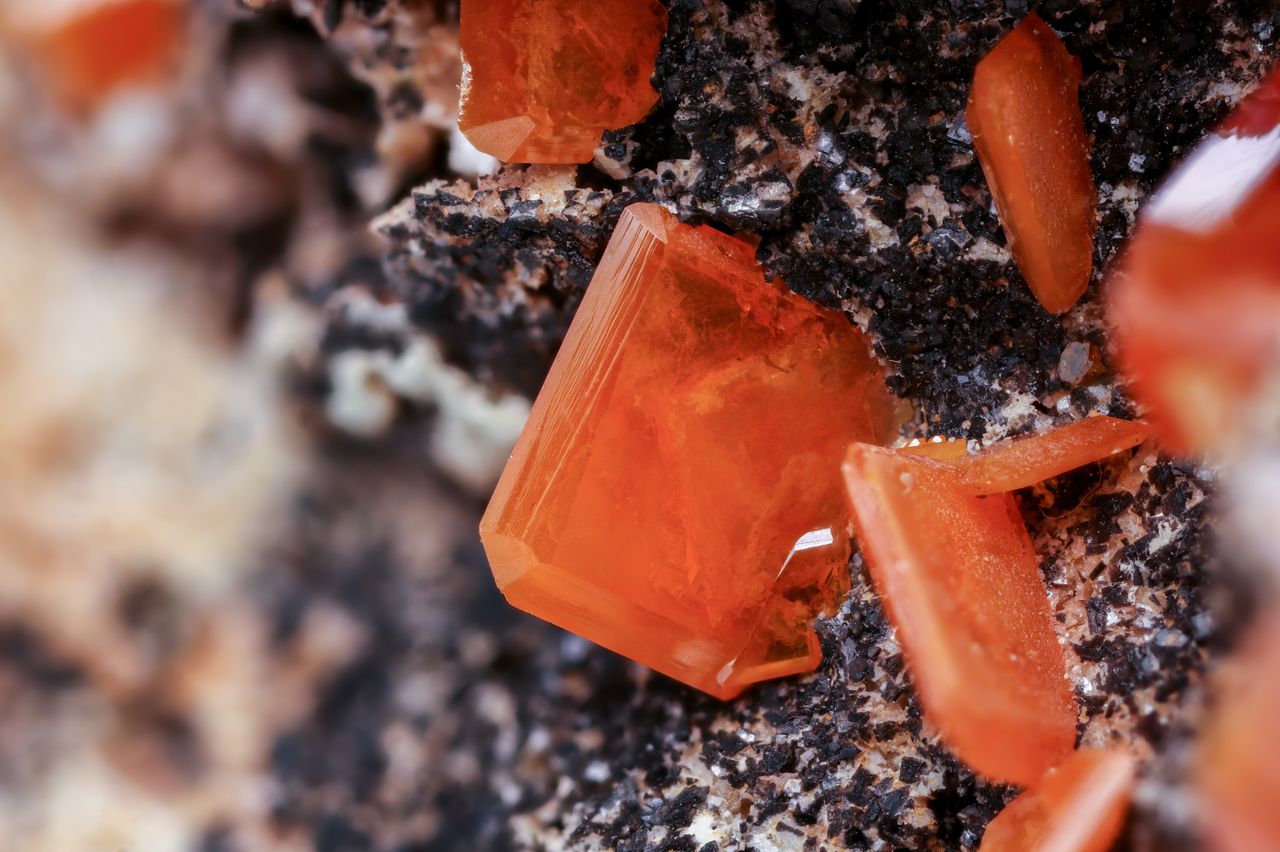Macro shot of vibrant red vanadinite crystals on a dark mineral base.